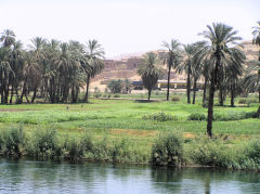 
Train between Edfu to Esna, June 2010